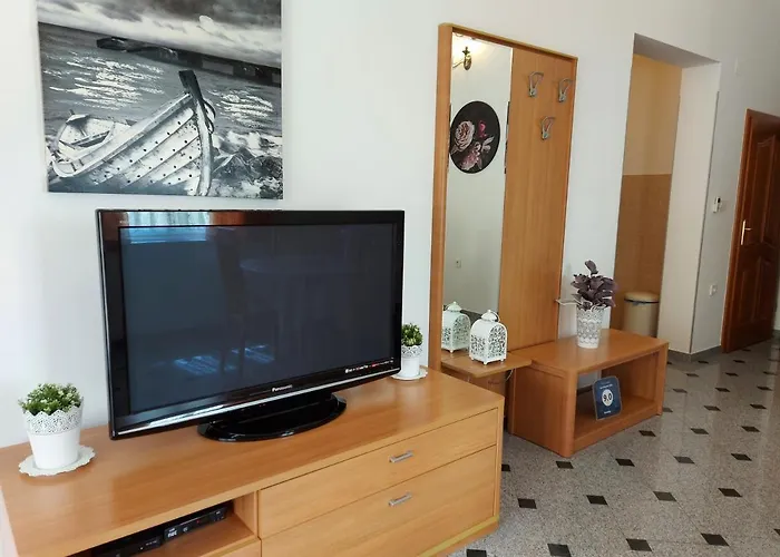 Palic 公寓 巴斯卡